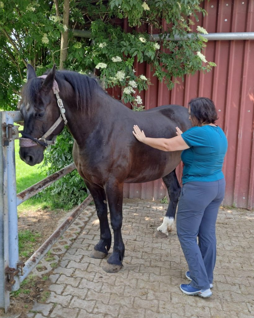 img 20250609 wa0016 (2)