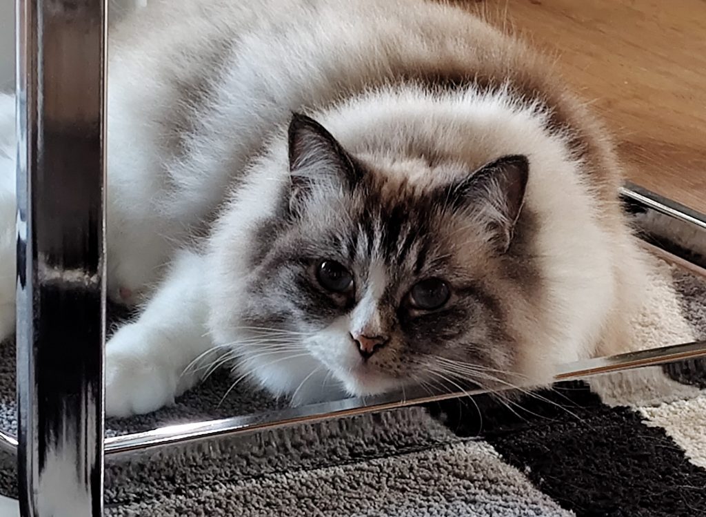 img 20241111 151943493