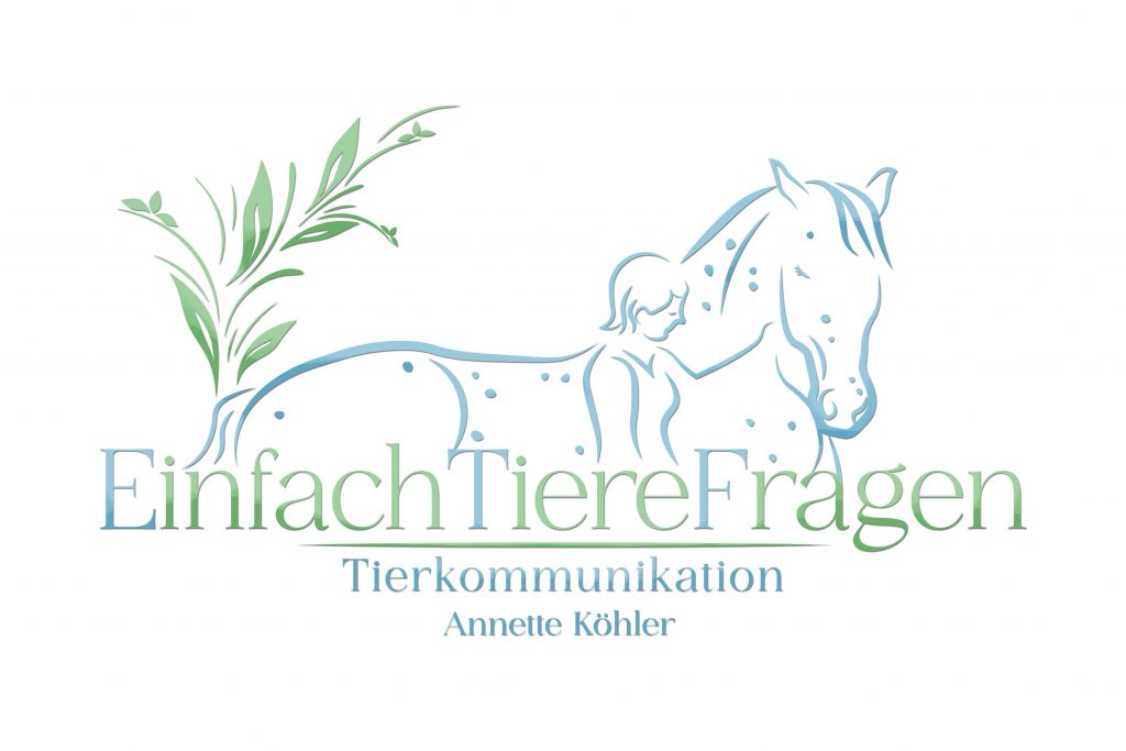 Herzens-Empfehlungen img 3176