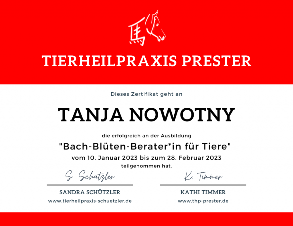 tanja nowotny (2)
