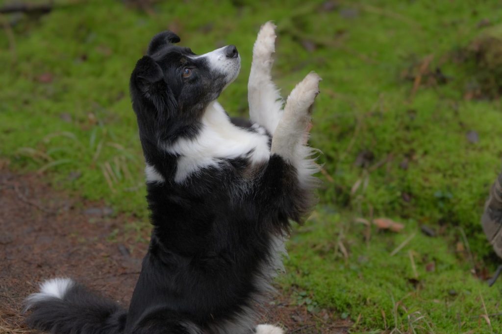 whatsapp image 2026 01 05 at 09.22.16