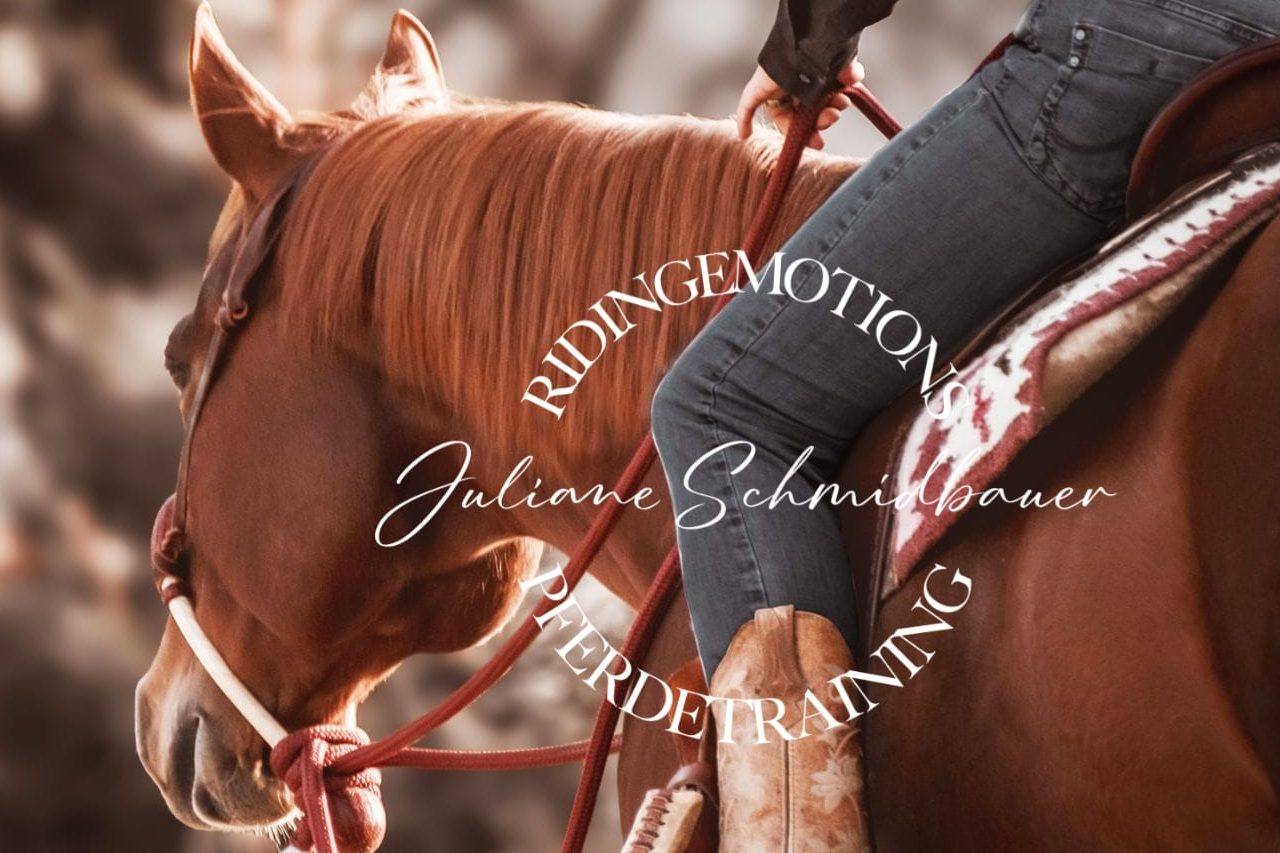 Herzens-Empfehlungen whatsapp image 2026 01 11 at 14.27.34