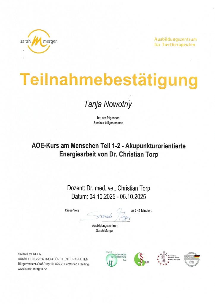 zertifikat aoe mensch