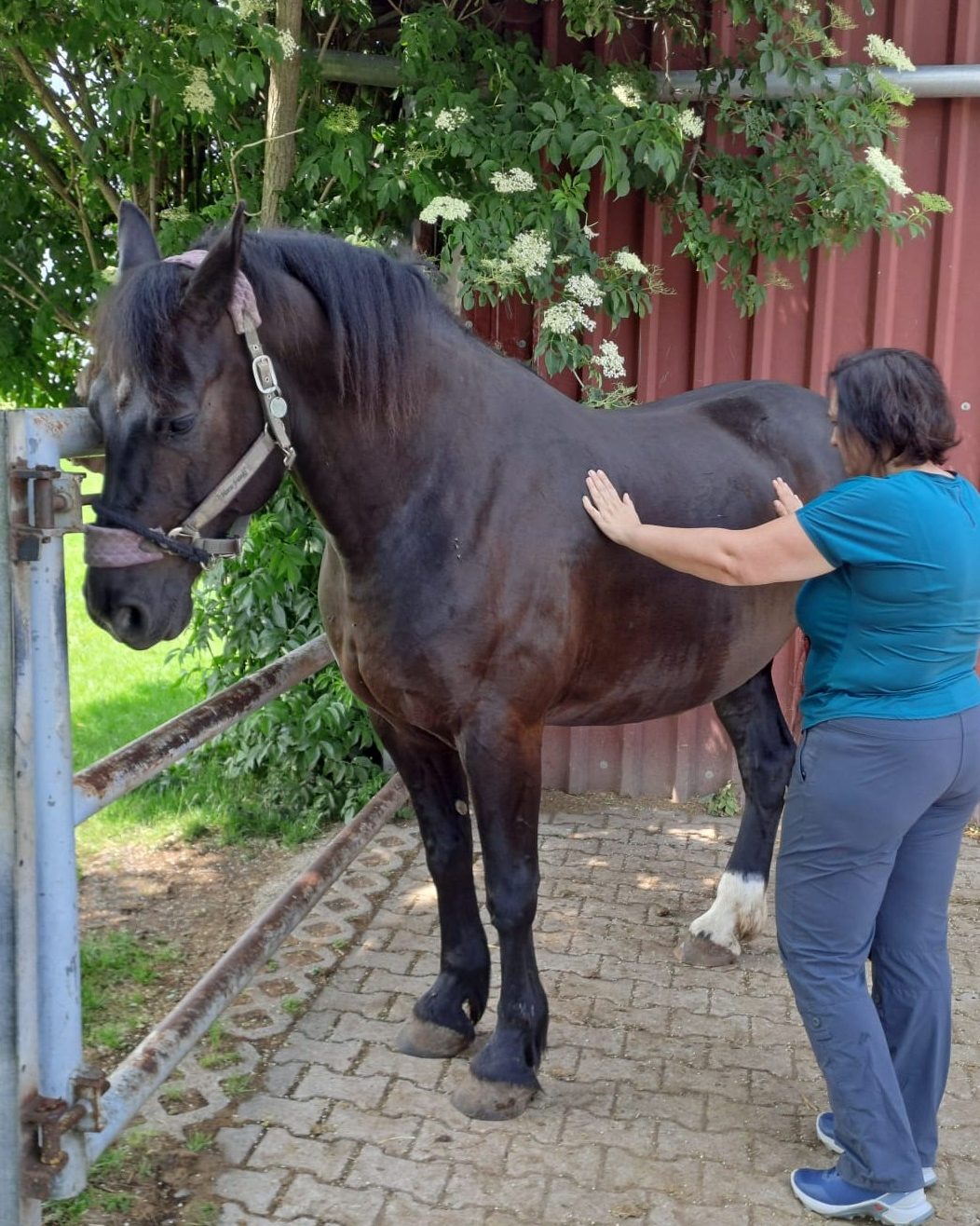 img 20250609 wa0016 (2)