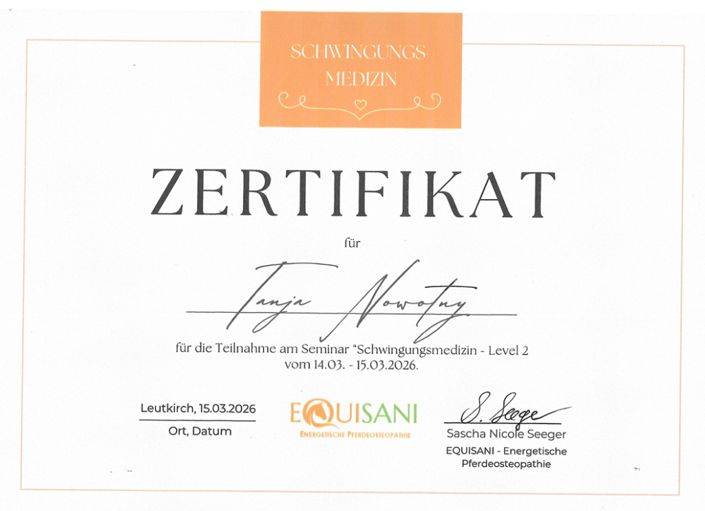 Über mich screenshot 2026 03 22 062403